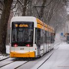 Schneefall in Mainz - Strassenbahn in der Neustadt (4)