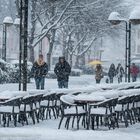 Schneefall in Mainz - Weiße Pracht | März 2013