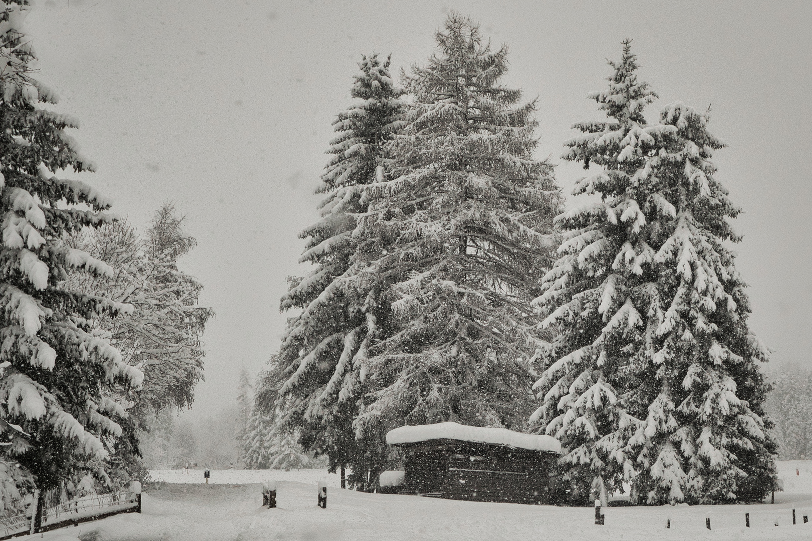 Schneefall in Osttirol