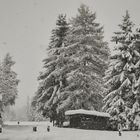 Schneefall in Osttirol