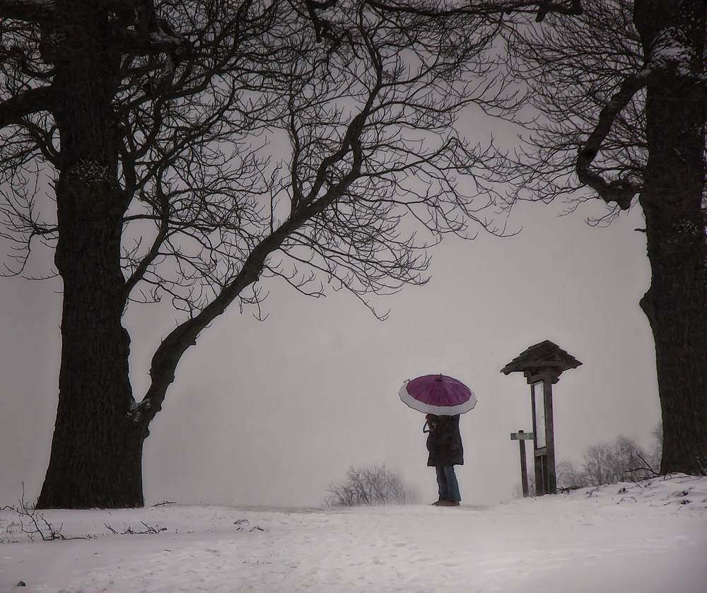 Schneefall, in Regen ünergehend