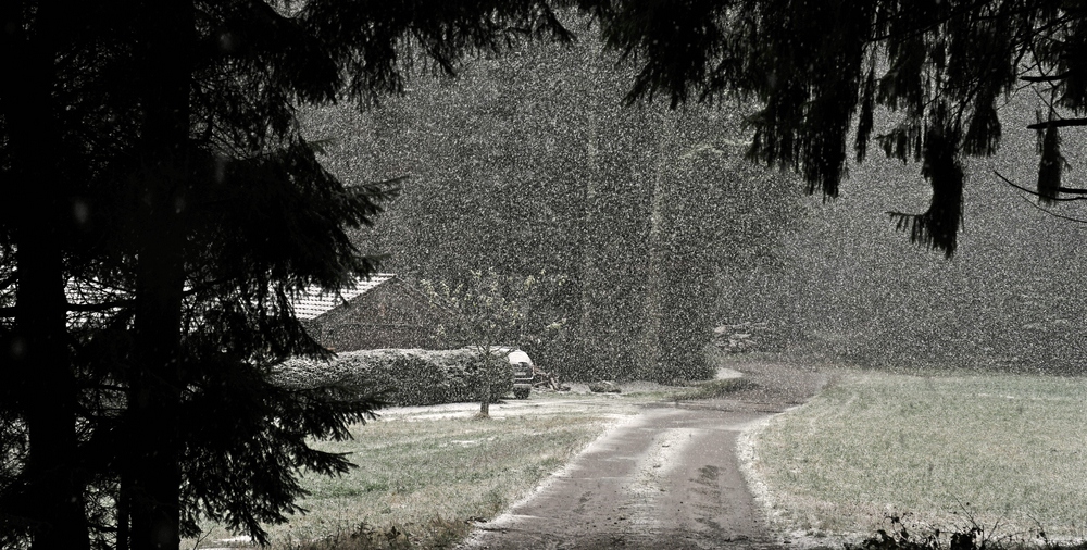 Schneefall vom feinsten