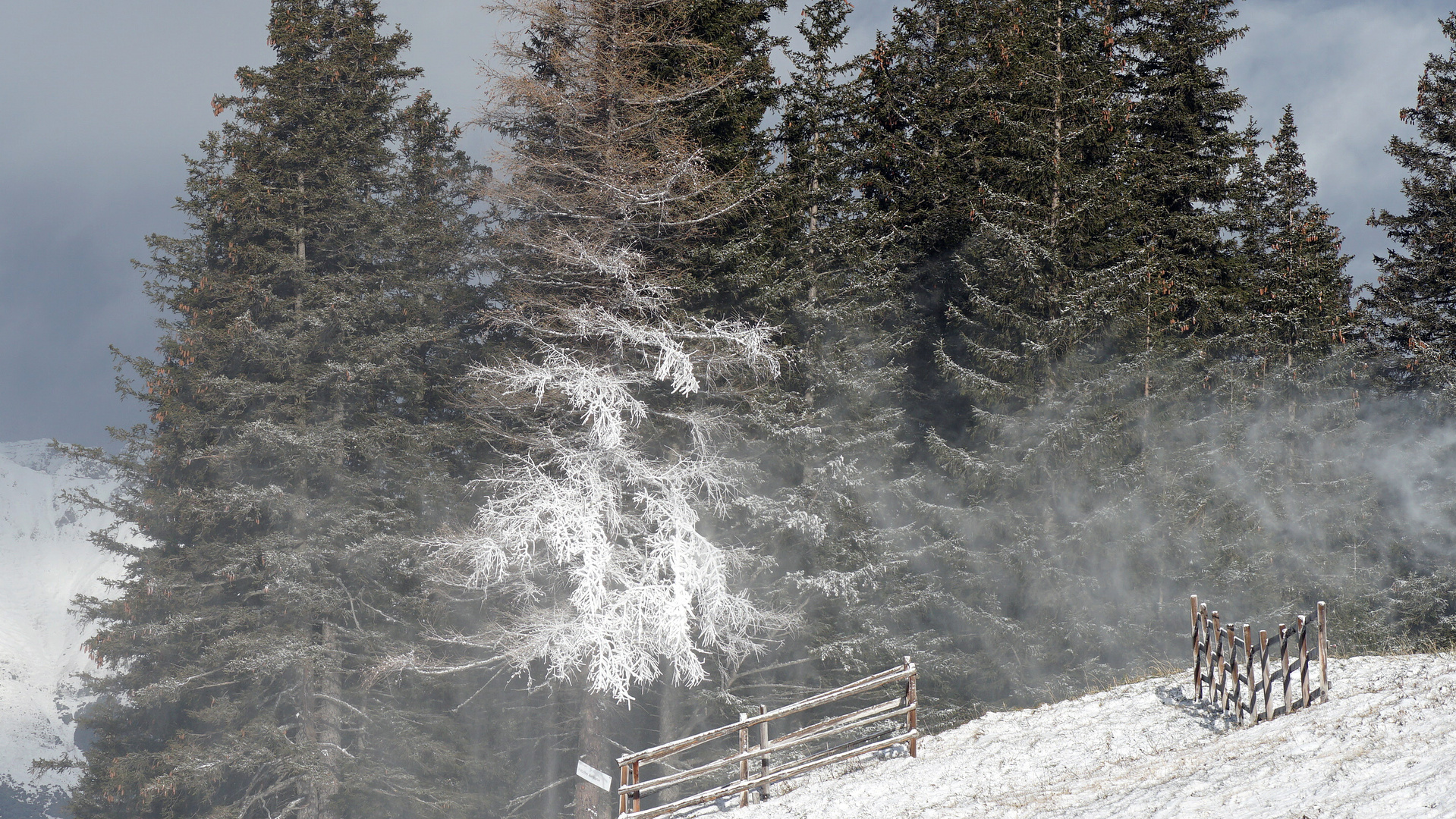 Schneefall von rechts -