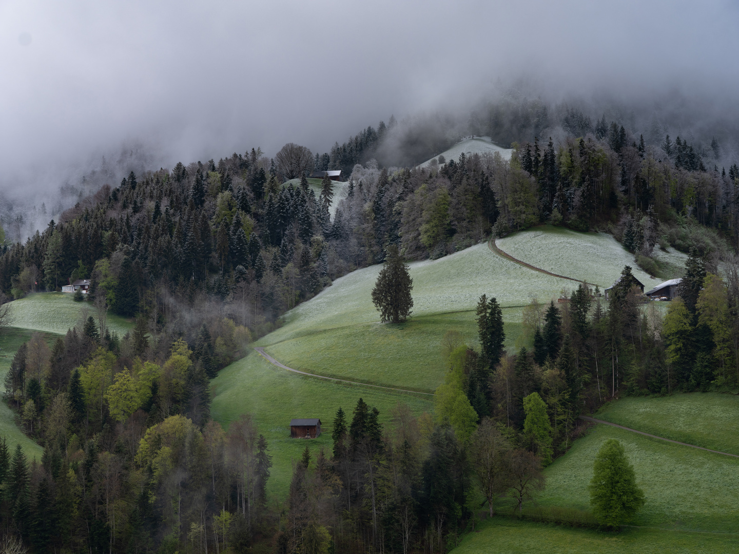 Schneefallgrenze 