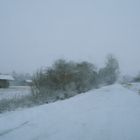 Schneefallimpressionen (11)