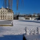 "Schneefamilie" im Winterfrühling 