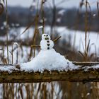 Schneefee am Köppchensee