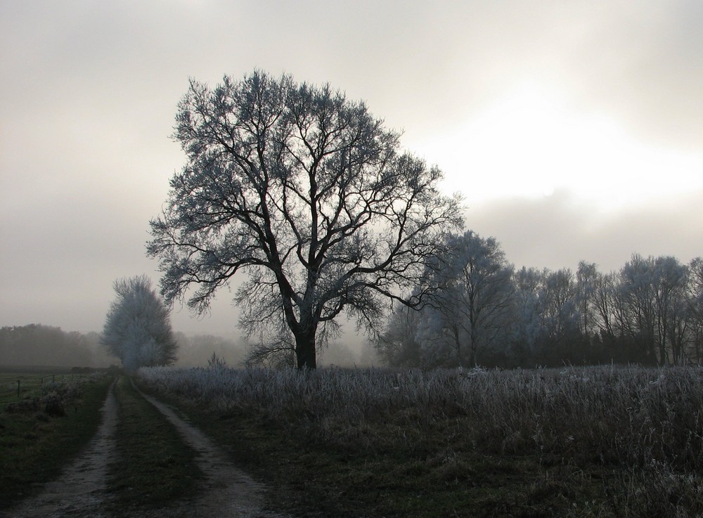 Schneefinsternis