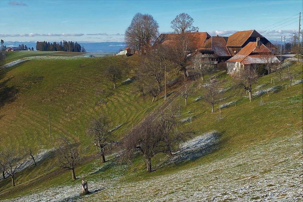 Schneeflecken unter den Bäumen