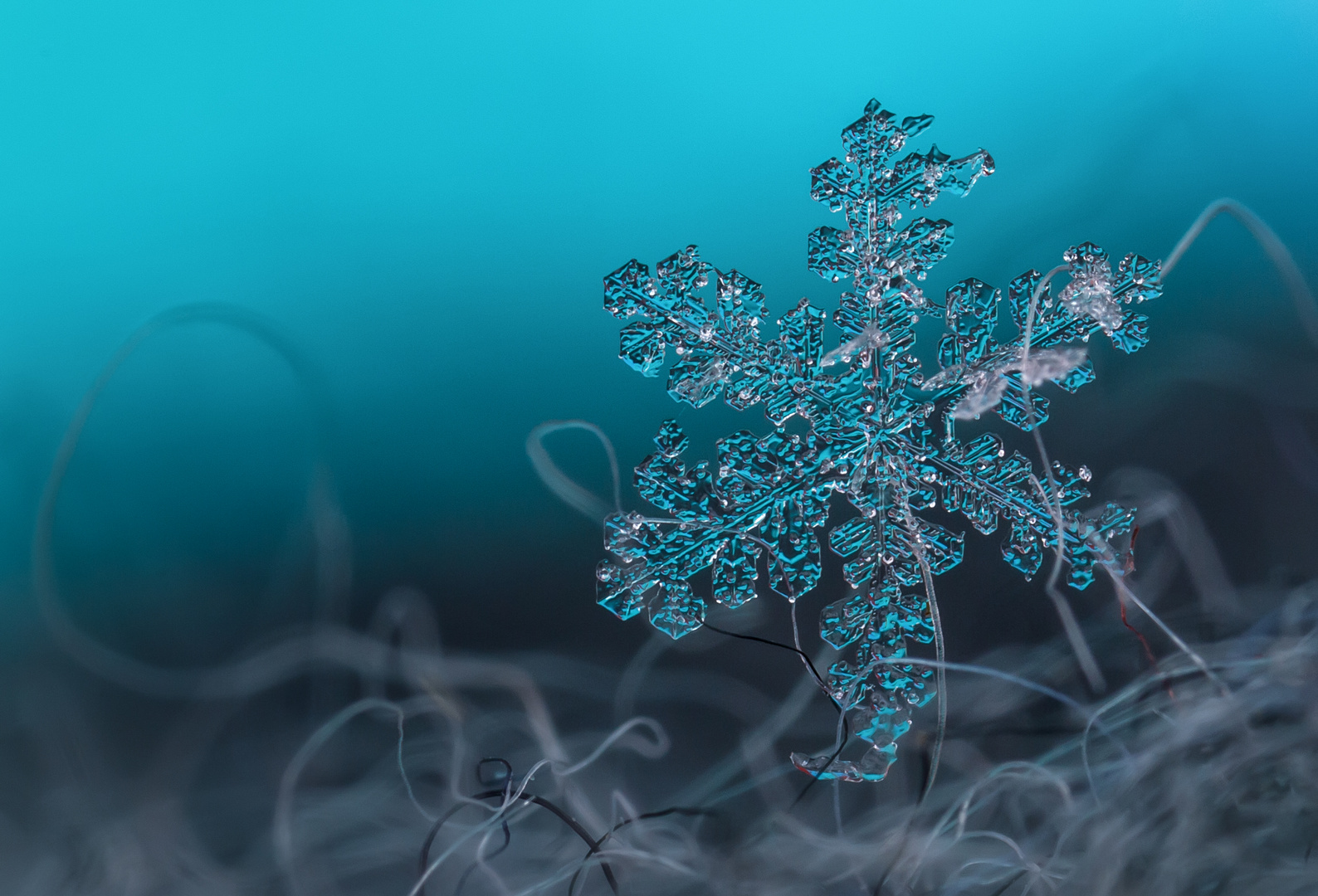 Schneeflocke Bild Kostenlos: A Comprehensive Guide to Enhance Your Winter Imagery