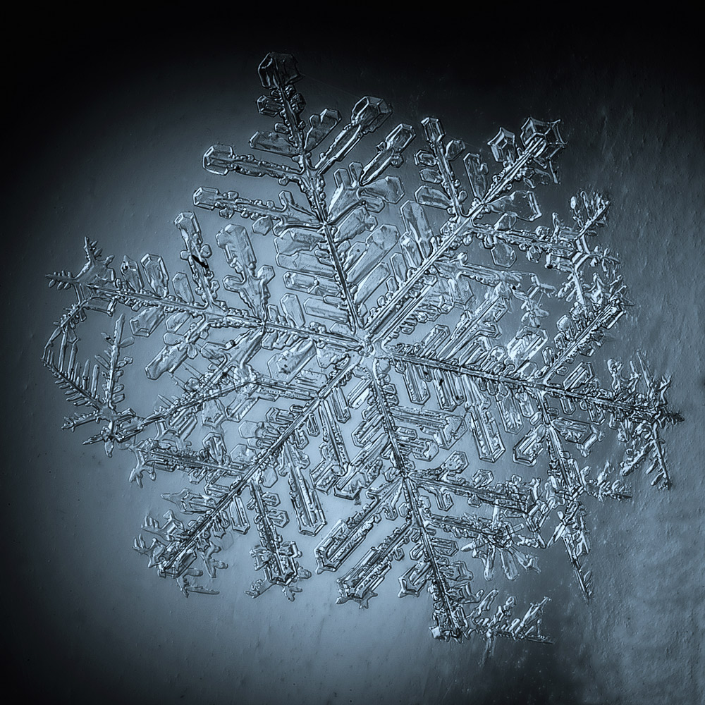 Schneeflocke Foto & Bild natur, schneeflocke, schneeflocken Bilder auf