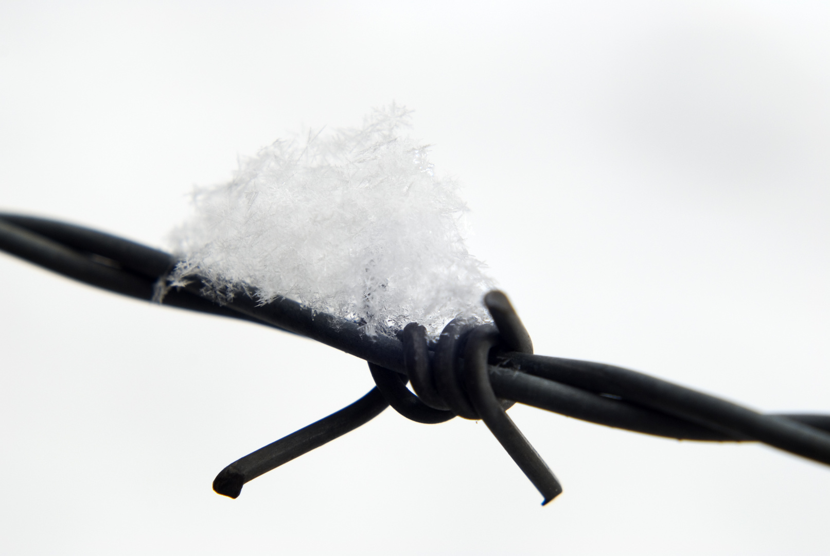 Schneeflocke am Stacheldraht