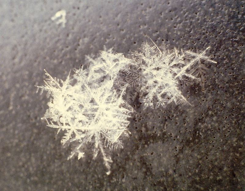 Schneeflocke auf Fahrradsattel