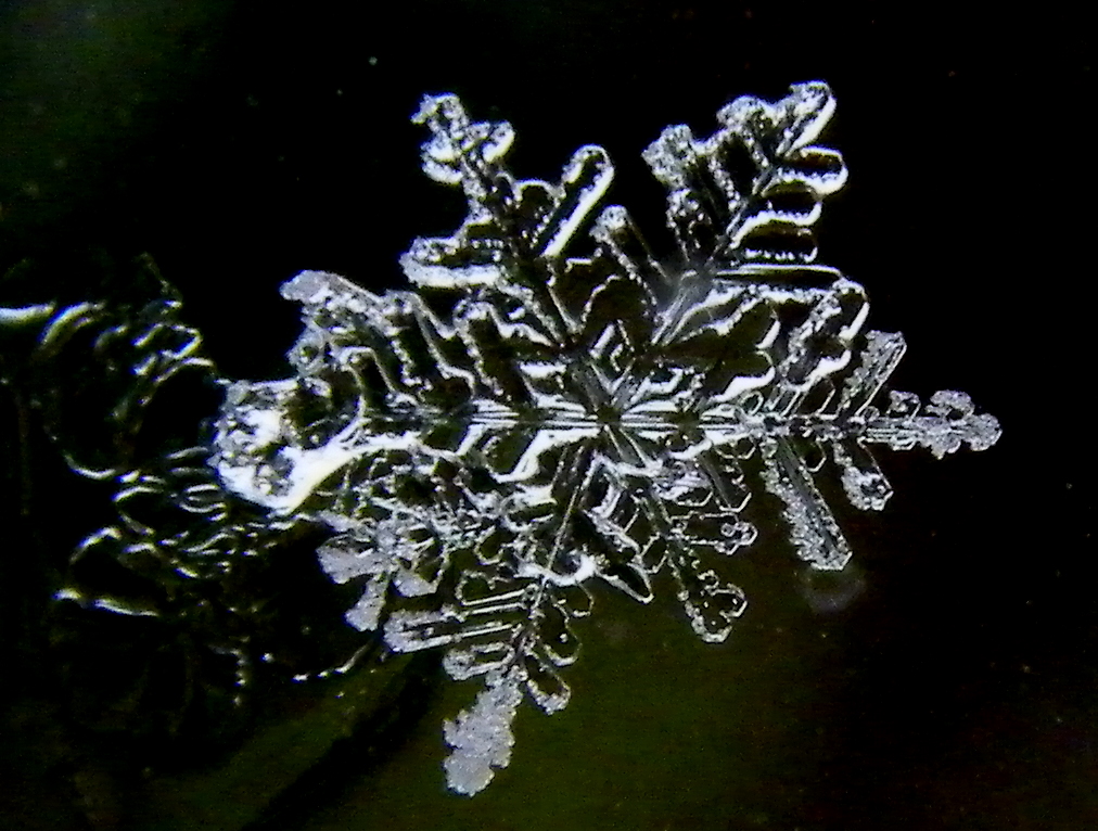 Schneeflocke Bild Kostenlos: A Comprehensive Guide to Enhance Your Winter Imagery