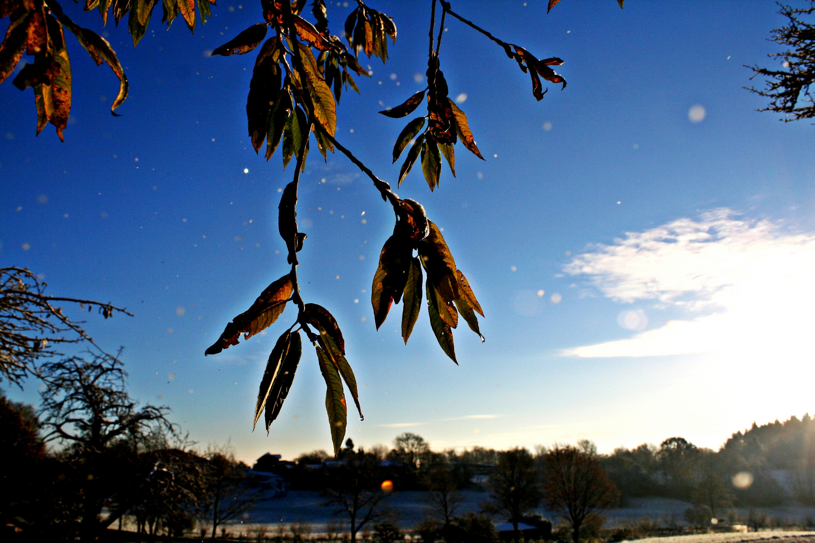 Schneeflocken