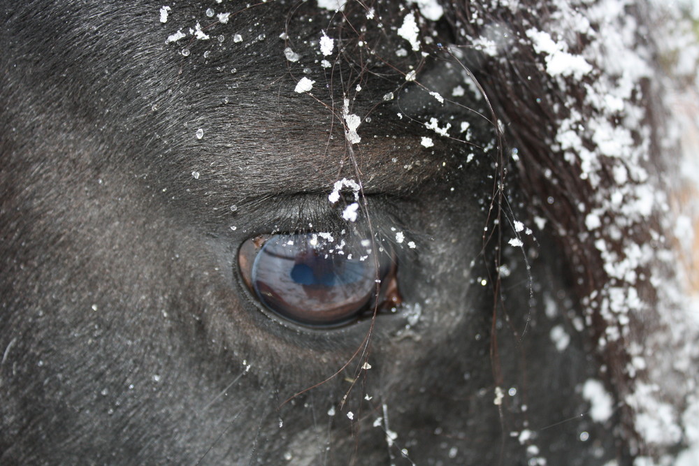 schneeflocken...