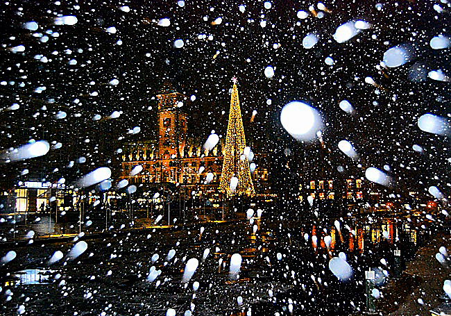 Schneeflocken von Daniela Bergmann 