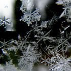 Schneeflocken am Fenster