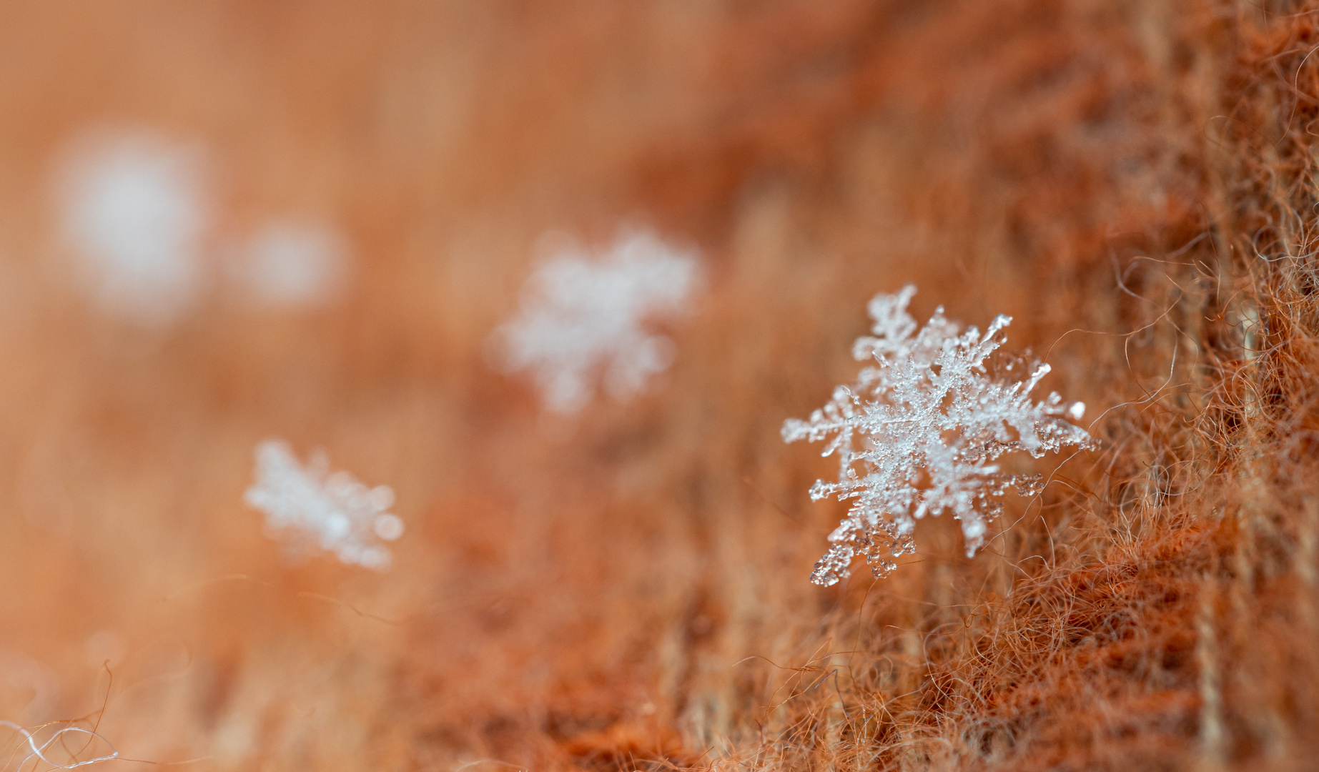 Schneeflocken