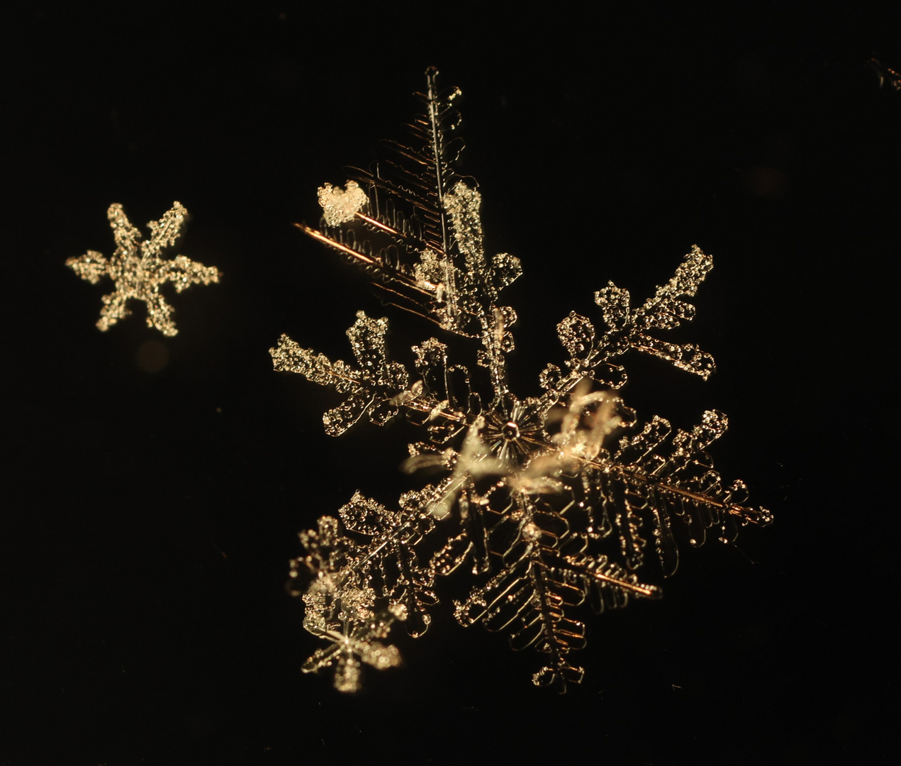 Schneeflocken in der Nacht 