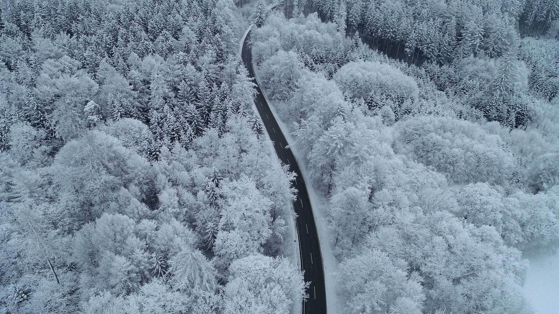 SCHNEEFLOCKEN-PERSPEKTIVE