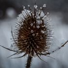 Schneeflocken & Wassertropfen