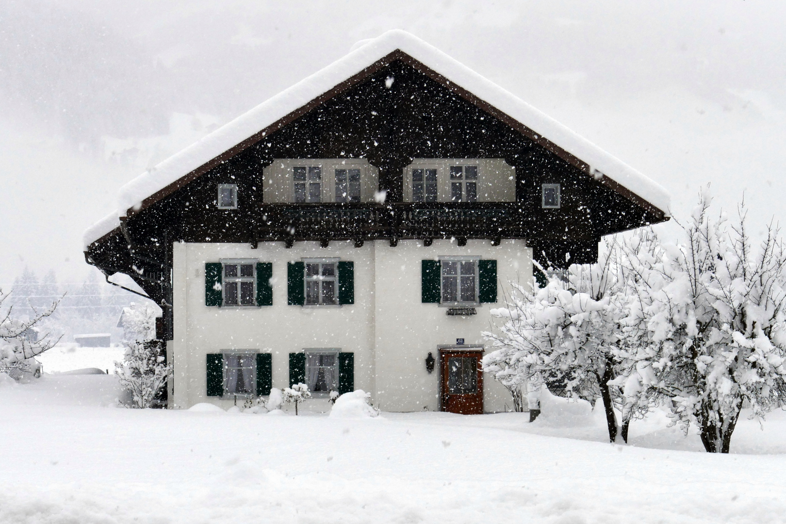 ...Schneeflöckchen...