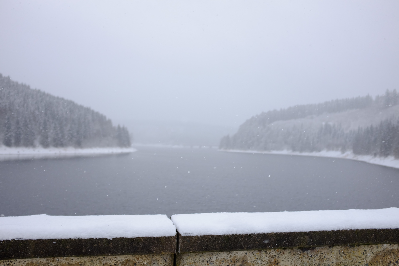 Schneeflöckchen