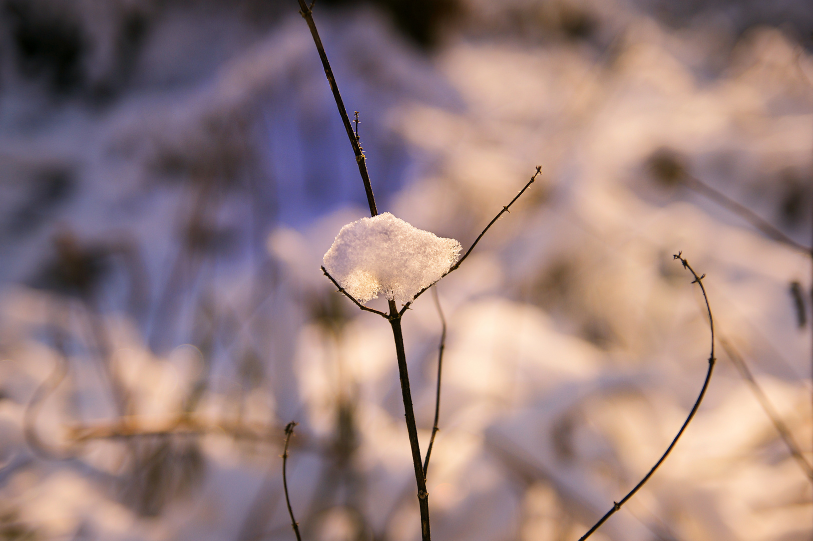 Schneeflöckchen