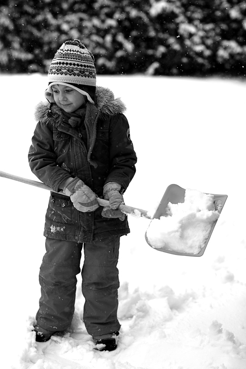 Schneeflöckchen