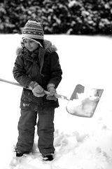 Schneeflöckchen