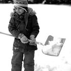 Schneeflöckchen