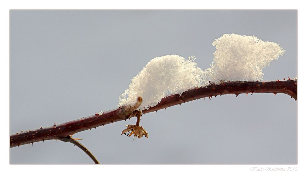 .. Schneeflöckchen ........