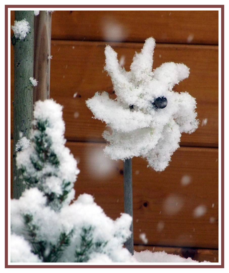 Schneeflöckchen - Weiß.......