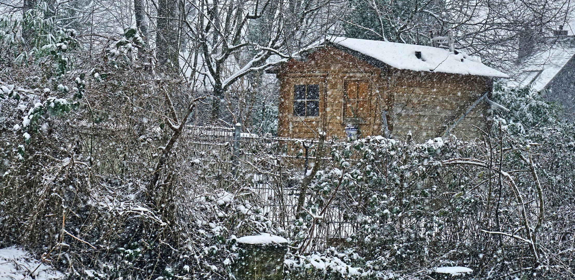 Schneeflöckchen weiß Röckchen