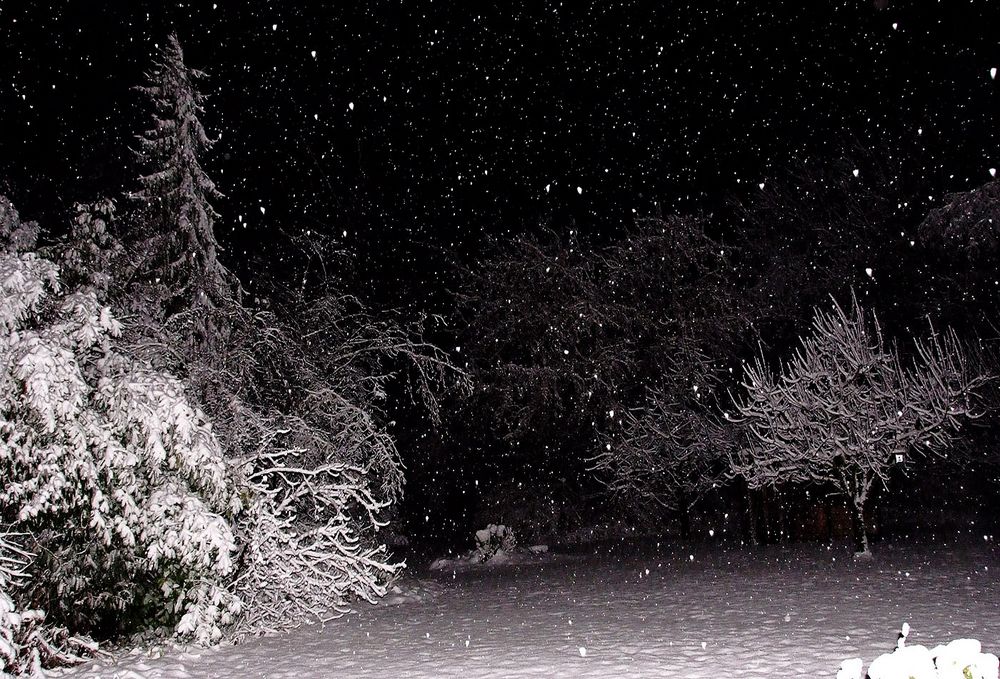 Schneeflöckchen, weiß Röckchen, wie kommst du geschneit ...