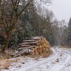 Schneeflöckchen- Weißröckchen