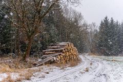 Schneeflöckchen- Weißröckchen