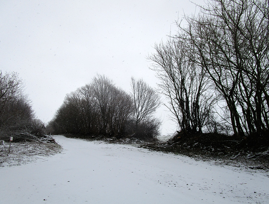 Schneeflöckchen, Weißröckchen .....