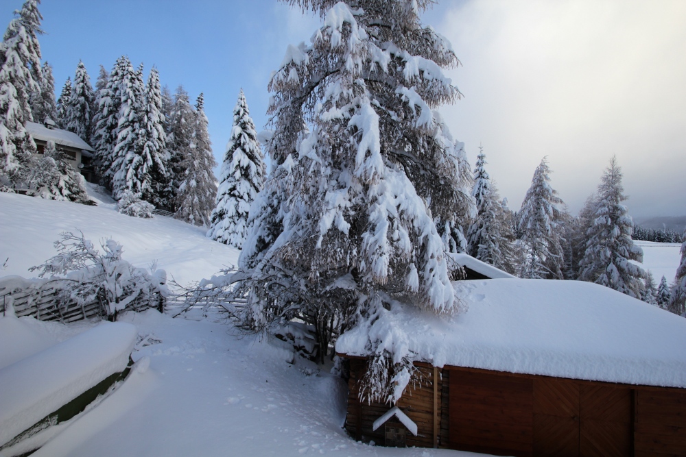 Schneeflöckchen...oder eher Schneemasse