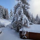 Schneeflöckchen...oder eher Schneemasse