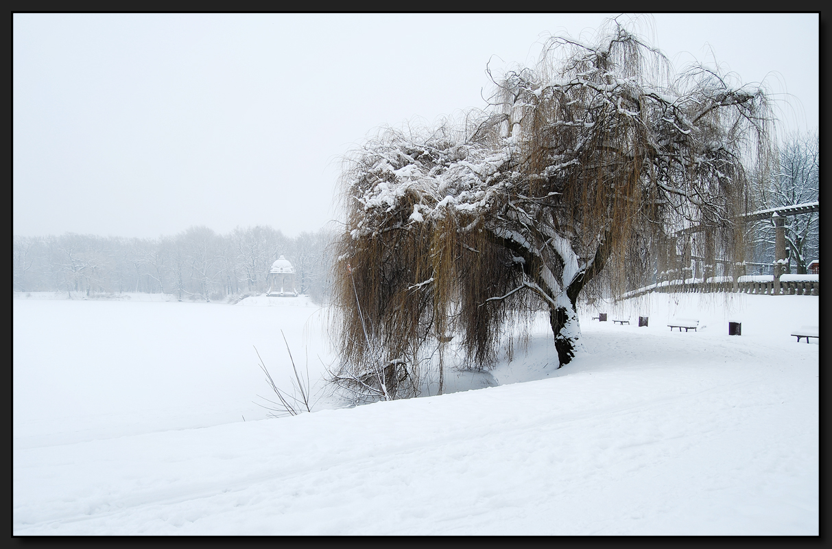 ...SchneeFlöckchen...WeißRöckchen...