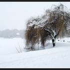 ...SchneeFlöckchen...WeißRöckchen...