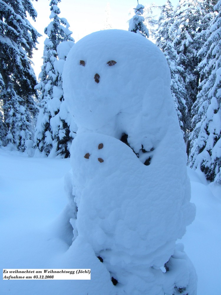 schneefrau mit kind