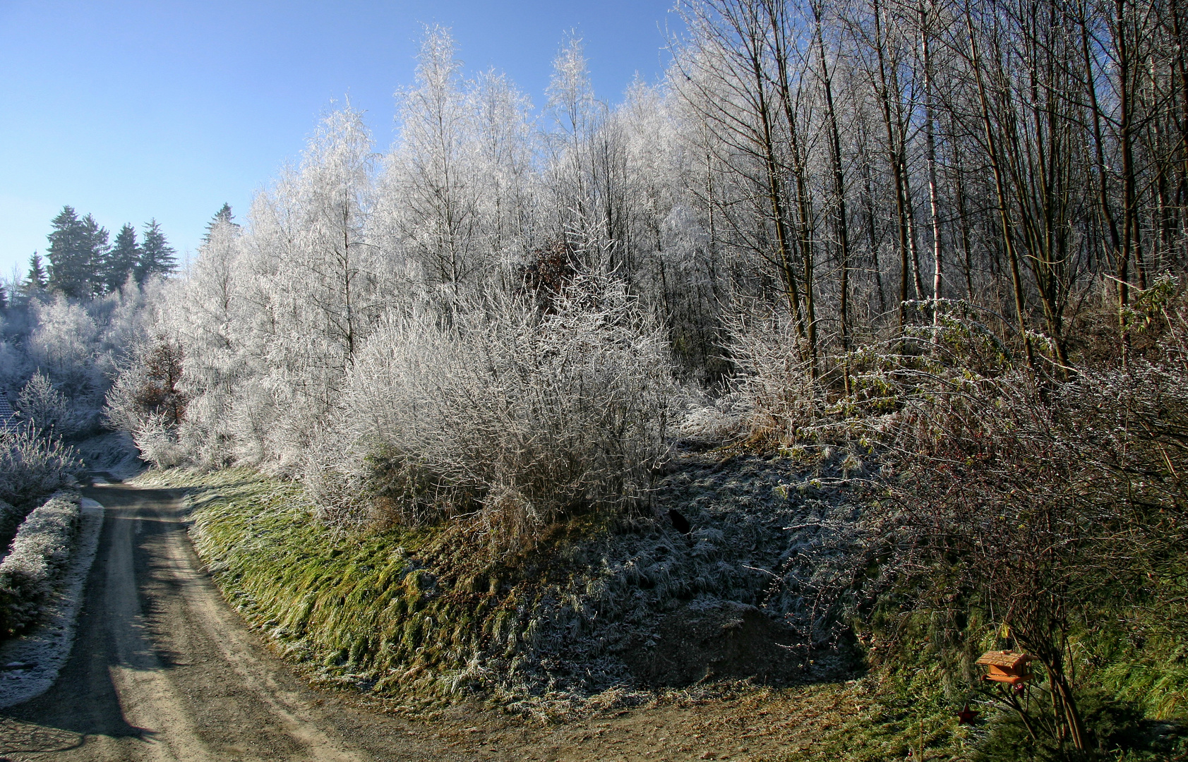 Schneefrei und kalt