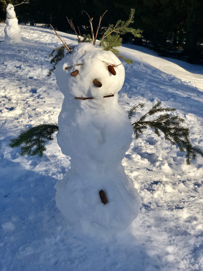 Schneefreuden 3