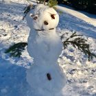 Schneefreuden 3