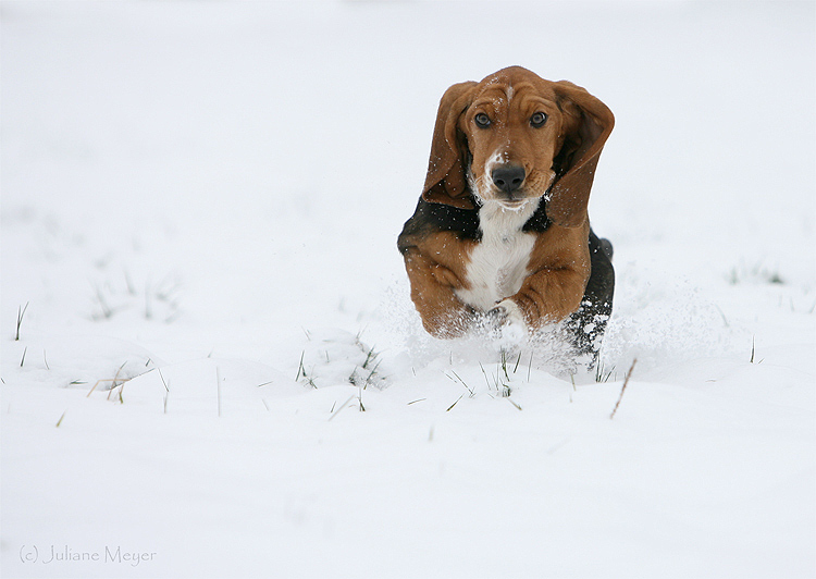 Schneefreuden mit Emma