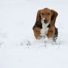 Schneefreuden mit Emma