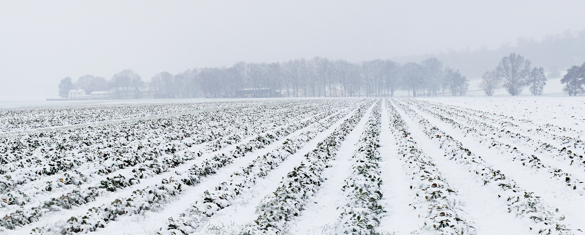 Schneefurchen